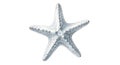 Stylized starfish illustration featuring five arms. The body is primarily white with Royalty Free Stock Photo