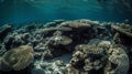 Subtle organic formations on a coral reef. AI generated