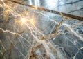 Subtle Silver Gray Marble A Luxurious and Elegant Texture for Architectural Design Inspiration Interior Decor and Royalty Free Stock Photo