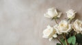 Subtle Sophistication: White Roses on Chalk Background with Minimalist Charm