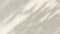 Subtle sunlit palm tree shadows dance across a textured light beige stucco wall surface Royalty Free Stock Photo