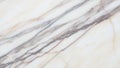 With subtle variations in color typical of high quality marble used in Royalty Free Stock Photo