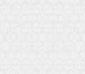 Subtle vector minimal geometric seamless pattern. Light gray thin lines texture, hexagon grid, delicate lattice, net, diamonds. Royalty Free Stock Photo