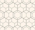 Subtle vector minimal geometric seamless pattern. Thin lines texture, hexagon grid, delicate lattice, net, diamonds. Minimalist Royalty Free Stock Photo