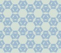 Vector geometric seamless pattern with hexagonal grid, mesh. Vintage ornament Royalty Free Stock Photo