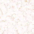Subtle white marble texture with golden details. Illustration for invitation, print, interior design template.