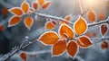 Subtle Winter Magic: Detailed Frost on Branches and Leaves in Close-Up. AI generated