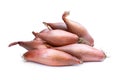 Subtly and sweet echalion shallots isolated on white Royalty Free Stock Photo