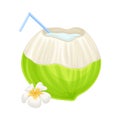 Subtropical Coconut Cocktail in Green Coconut Shell with Straw and Plumeria Flower Vector Illustration