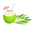 Subtropical Coconut Cocktail in Green Coconut Shell with Straw and Umbrella Vector Illustration