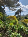 Subtropical garden Tresco