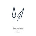 Subulate icon. Thin linear subulate outline icon isolated on white background from nature collection. Line vector sign, symbol for