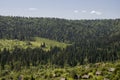 Suburb and villages. Big mountains and dark green forests far away. Trees and their shadows on the grass. Summer day with bright b Royalty Free Stock Photo