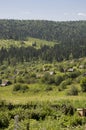 Suburb and villages. Big mountains and dark green forests far away. Trees and their shadows on the grass. Summer day with bright b Royalty Free Stock Photo