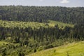 Suburb and villages. Big mountains and dark green forests far away. Trees and their shadows on the grass. Summer day with bright b Royalty Free Stock Photo