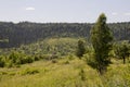 Suburb and villages. Big mountains and dark green forests far away. Trees and their shadows on the grass. Summer day with bright b Royalty Free Stock Photo