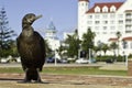 Suburban Cormorant bird