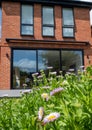 New build red brick extension and three tall windows. Rock garden with Mexican daisies, Erigeron Karvinskianus in the foreground.