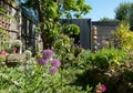 Suburban messy bedhead garden in London UK, with wide variety of colourful flowers in the foreground. Eco garden studio behind.