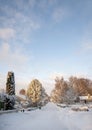 Suburban road in winter