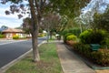 A suburban tree-lined Street with beautiful front yard Gardens in a Quiet Residential Area. Royalty Free Stock Photo