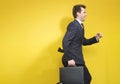 Succesful businessman with the suitcase Royalty Free Stock Photo