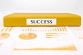 Success concept with analysis documents, graphs, charts and business report