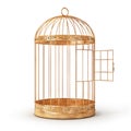 Success concept. Open bird`s cell isolation on a white background. Royalty Free Stock Photo