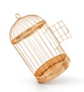 Open bird`s cell isolation on a white background. 3d illustration