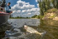 Success fishing. Fisherman catch asp aspius fish from boat at wild river Royalty Free Stock Photo