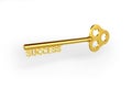 Success Golden Key Royalty Free Stock Photo