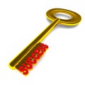 Success key Royalty Free Stock Photo