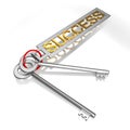 Success Keys Shows Victory Achievement Or Successful Royalty Free Stock Photo