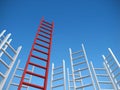 Success ladder