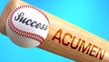 Success in life depends on acumen - pictured as word acumen on a bat, to show that acumen is crucial for successful business or