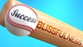 Success in life depends on blissfulness - pictured as word blissfulness on a bat, to show that blissfulness is crucial for