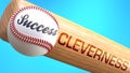 Success in life depends on cleverness - pictured as word cleverness on a bat, to show that cleverness is crucial for successful Royalty Free Stock Photo