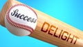 Success in life depends on delight - pictured as word delight on a bat, to show that delight is crucial for successful business or