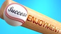 Success in life depends on enjoyment - pictured as word enjoyment on a bat, to show that enjoyment is crucial for successful