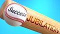 Success in life depends on jubilation - pictured as word jubilation on a bat, to show that jubilation is crucial for successful