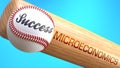 Success in life depends on microeconomics - pictured as word microeconomics on a bat, to show that microeconomics is crucial for