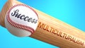 Success in life depends on multiculturalism - pictured as word multiculturalism on a bat, to show that multiculturalism is crucial