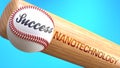 Success in life depends on nanotechnology - pictured as word nanotechnology on a bat, to show that nanotechnology is crucial for