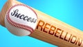 Success in life depends on rebellion - pictured as word rebellion on a bat, to show that rebellion is crucial for successful