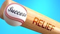 Success in life depends on relief - pictured as word relief on a bat, to show that relief is crucial for successful business or Royalty Free Stock Photo