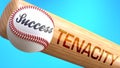 Success in life depends on tenacity - pictured as word tenacity on a bat, to show that tenacity is crucial for successful business