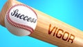 Success in life depends on vigor - pictured as word vigor on a bat, to show that vigor is crucial for successful business or life