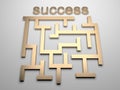 Success maze