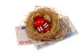 Success nest with money and dice on white