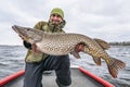 Success pike fishing. Happy fisherman with big fish trophy at boat Royalty Free Stock Photo